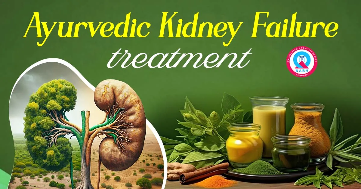 ayurvedic-kidney-failure-treatment